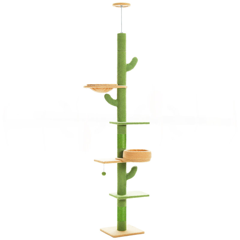 [87 "-101.2"] Arbre à chat Cactus
