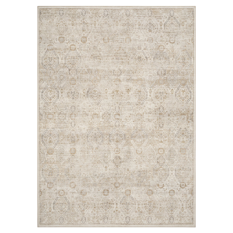 Soft Washable Vintage Distressed Beige Area Rug with Non-Slip Backing, Rectangle 5' x 7', Beige