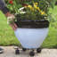 Boularderie Plant Stand