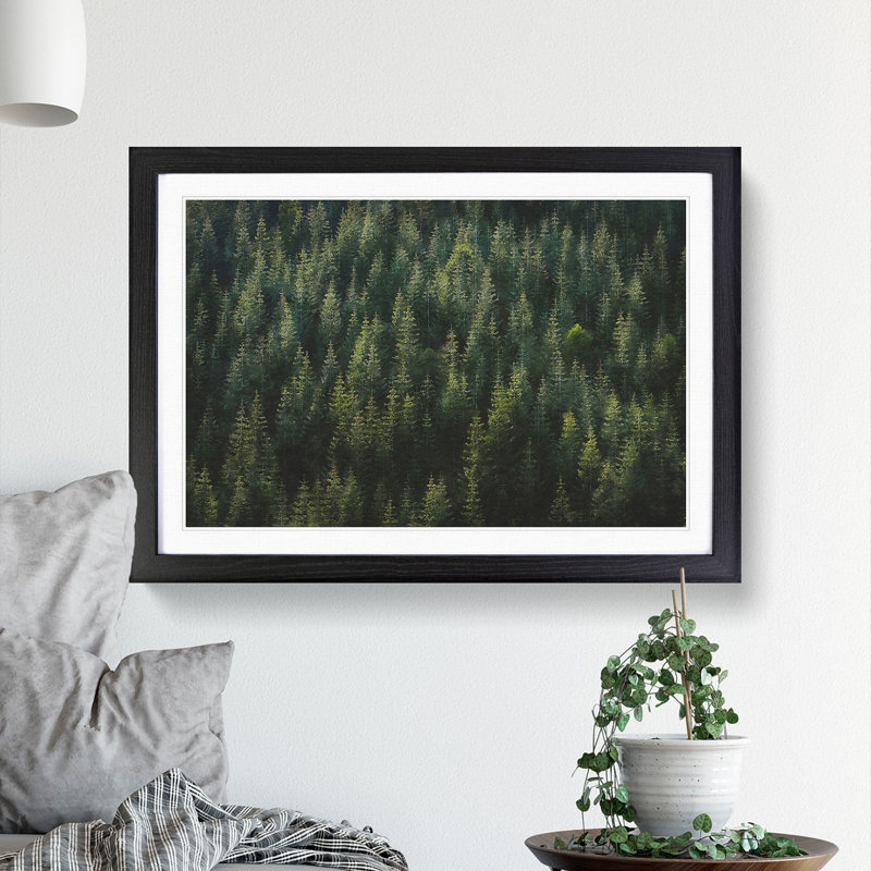 Beauty Of The Pine Tree Forest - Single Picture Frame Painting on MDF, 24cm H x 33cm W x 2cm D, Black