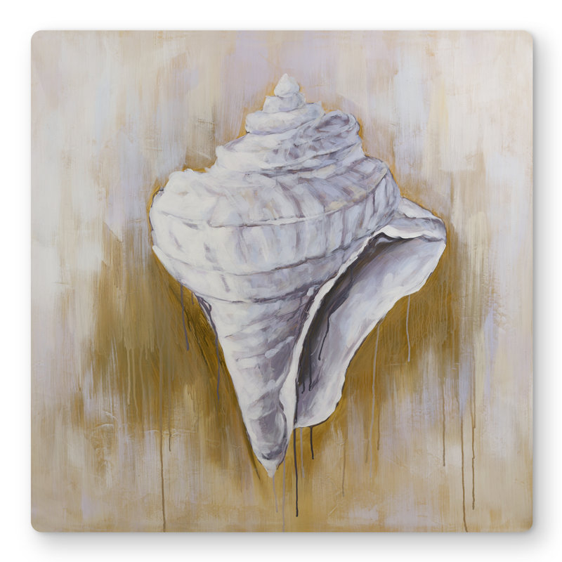 Conical Shell - Beach Coastal Metal Print for Home Decor