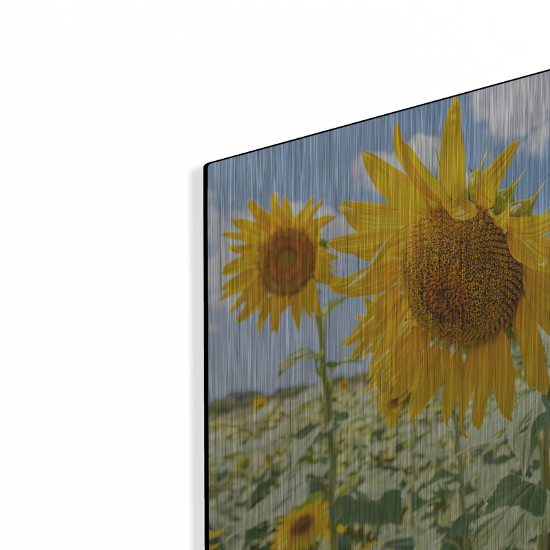 «Sunflowers I» par Richard Silver, H 12 po x l 16 po