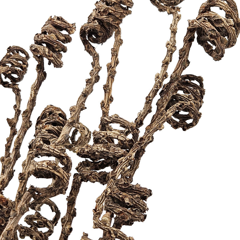 9 Piece Cluster Twig Triple Spring   Set of 12   20"   Natural
