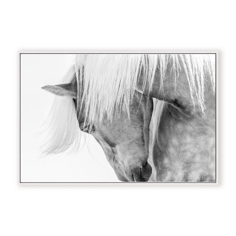 Nature Inspired Halflinger Portrait by  - Picture Frame Photograph on Paper, 24" H x 36" W x 1.125" D, Black