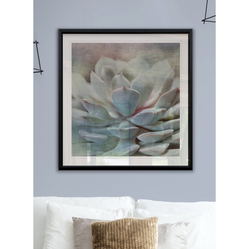 Pastel Succulent I - cadre photo, reproduction de photo sur papier, H 30,5 po x l 30,5 po x P 1,5 po