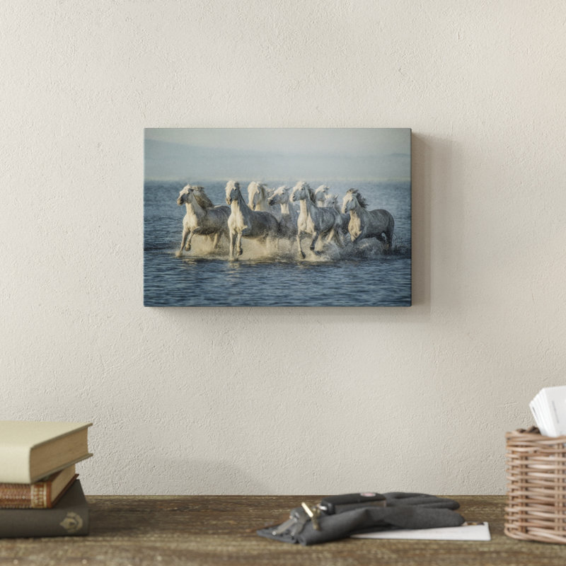 Water Horses VI by PHBurchett - Print on Canvas, Wrapped Canvas, 20cm H x 30cm W
