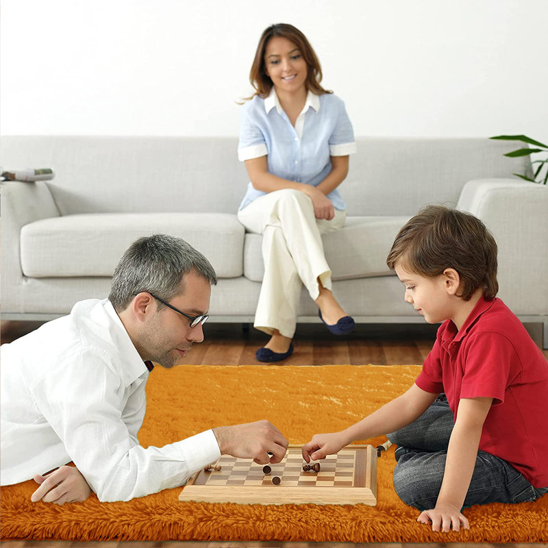 Alexxys Fluffy Thin Deep Pile Living Room Area Rug, Runner 80 x 300cm