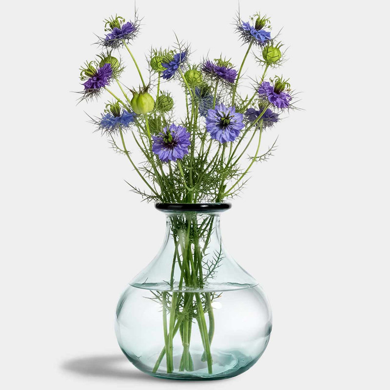 Vase de table en verre 8,25 "Allis, capacité 101 oz, H 8 po x l 7,5 po x P 7,5 po