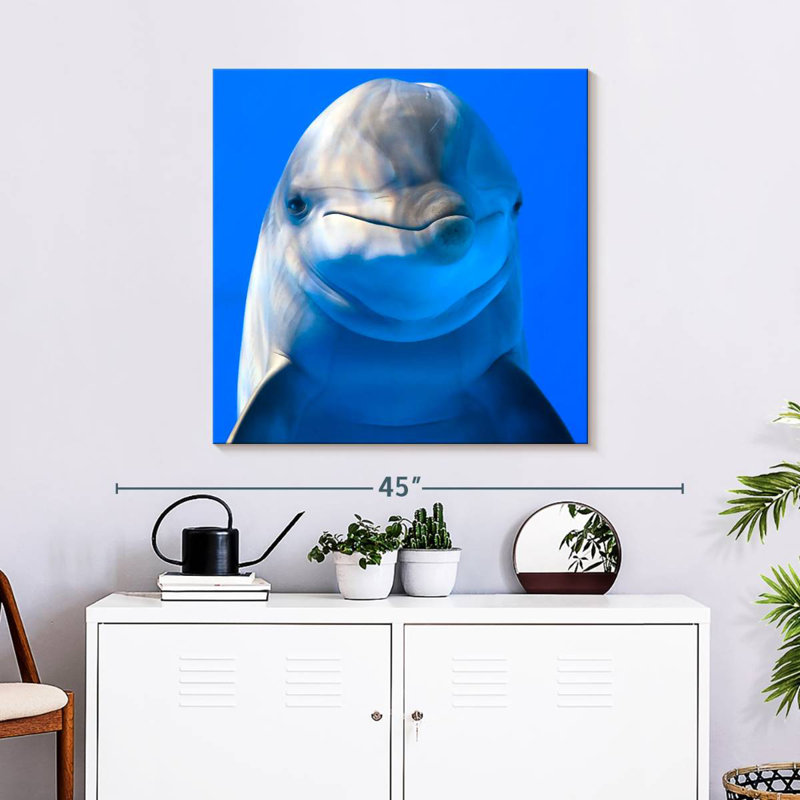 Brampt Sociable Dolphin, 30" H x 30" W