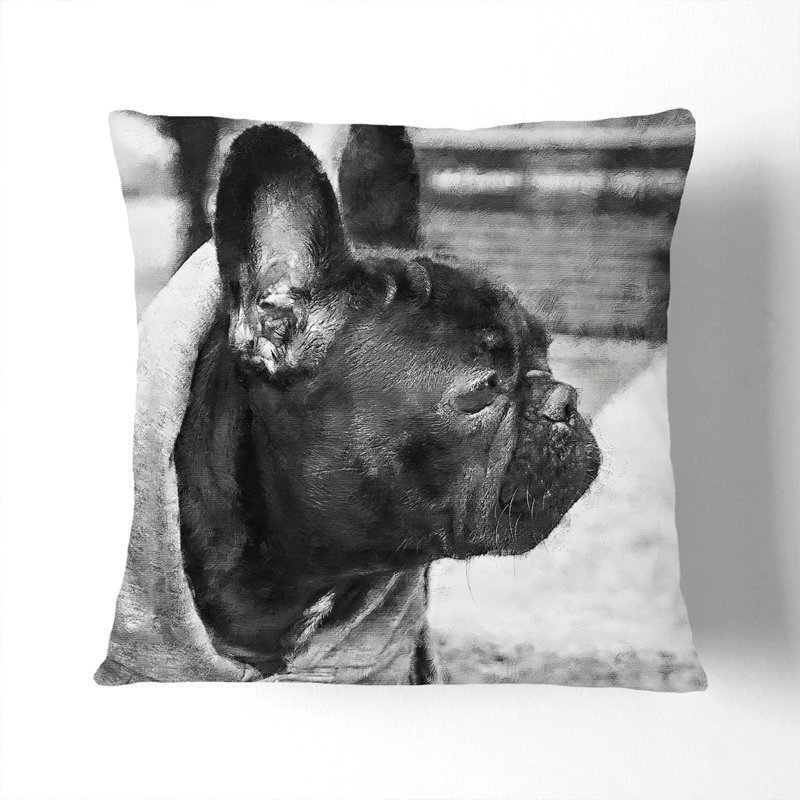 Square Cushion, 55cm H x 55cm W x 20cm D