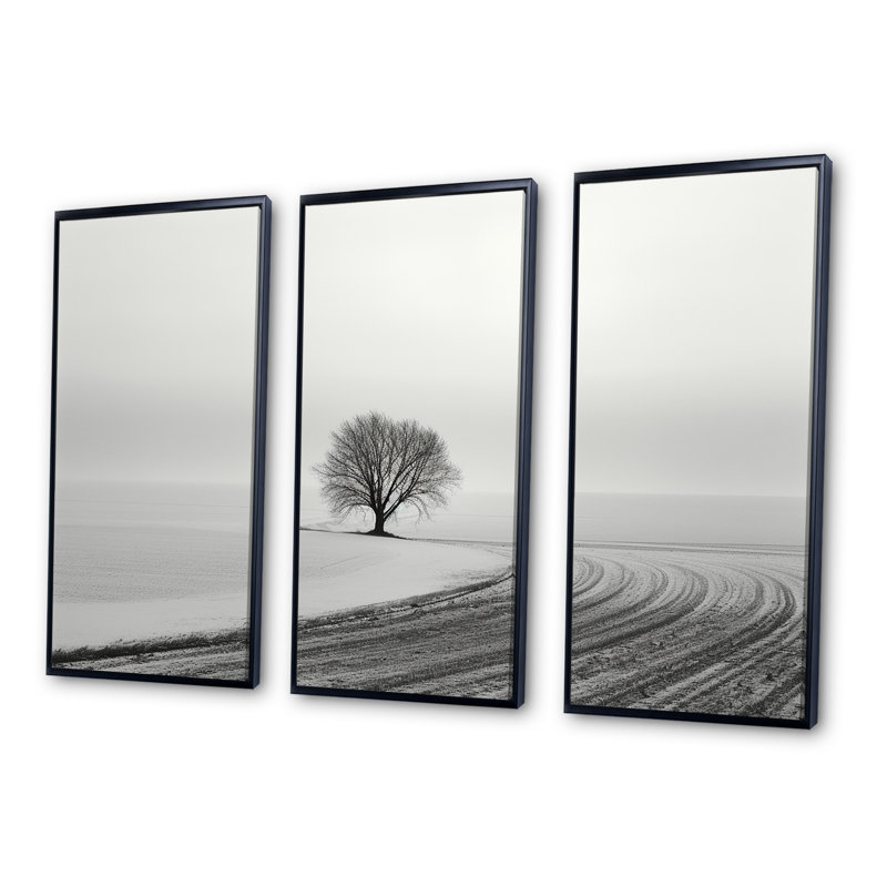 Paysage d'hiver photo II - ensemble d'art mural paysage d'hiver, Cadre flottant noir, H 32 po x l 48 po x P 1 po