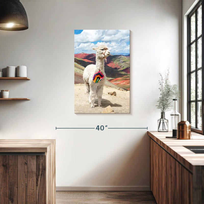 Brampt couleurs du Pérou - Alpaca blanc Palcoyo, H 36 po x l 24 po