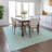 Machine Washable Indoor/Outdoor Chayden ACN1056 Mint Rug-1010450850