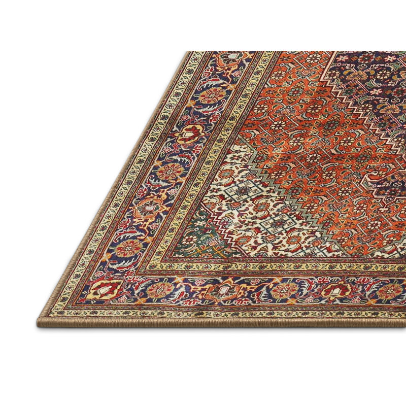 Tapis rouge / brun Izabelle Southwestern, Rectangle 6 pi x 9 pi