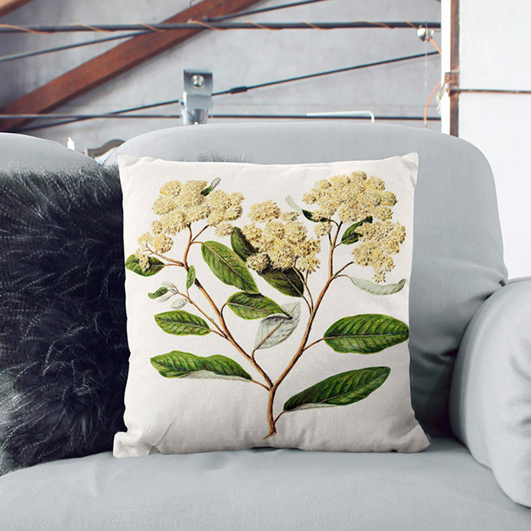 Kumarahou Flowers by Sarah Featon Cushion with Filling