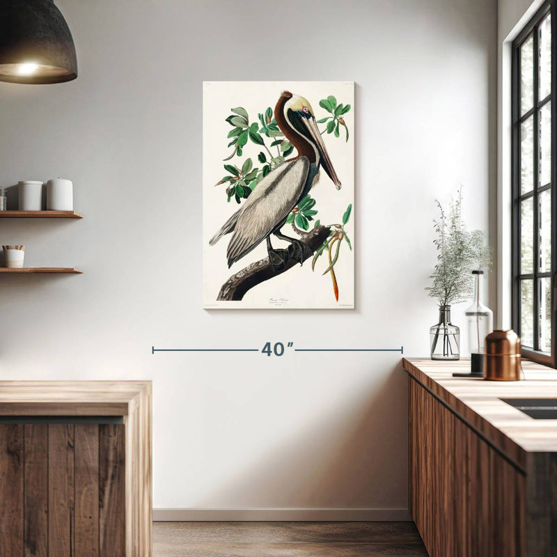Brampt Brown Pelican II, 36" H x 24" W