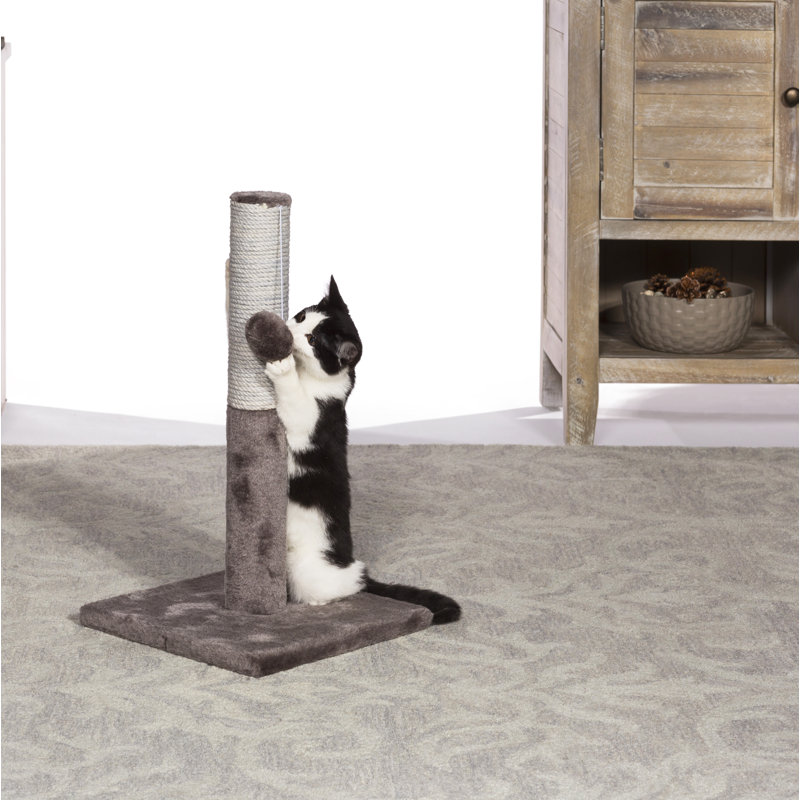 Burruss Scratching Post