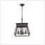 Lustre suspendu de style industriel en pouces, conception de cage en métal moderne, lumière suspendue réglable pour différentes pièces