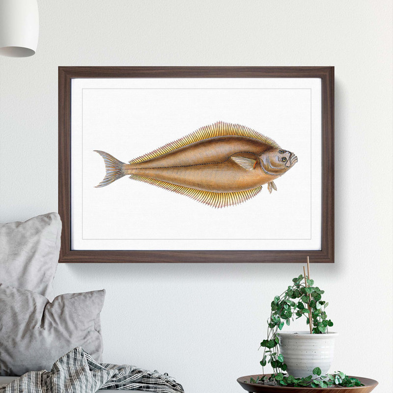 Atlantic Halibut Fish by Edward Donovan - Framed Print, 45cm H x 63cm W x 2cm D, Walnut Framed