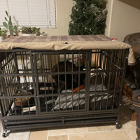 48 Inch Heavy Duty Indestructible Dog Crate Steel Escape Proof, Indoor  Double Door High Anxiety Cage, Kennel With Wheels, Removable Tray, Extra  Large