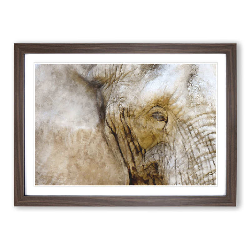 Elephant Vol.5 - Picture Frame Graphic Art, Walnut Framed, 48cm H x 65cm W x 2cm D