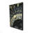 Astrologic Clock - Gold Hyperrealist Framed Canvas Decor