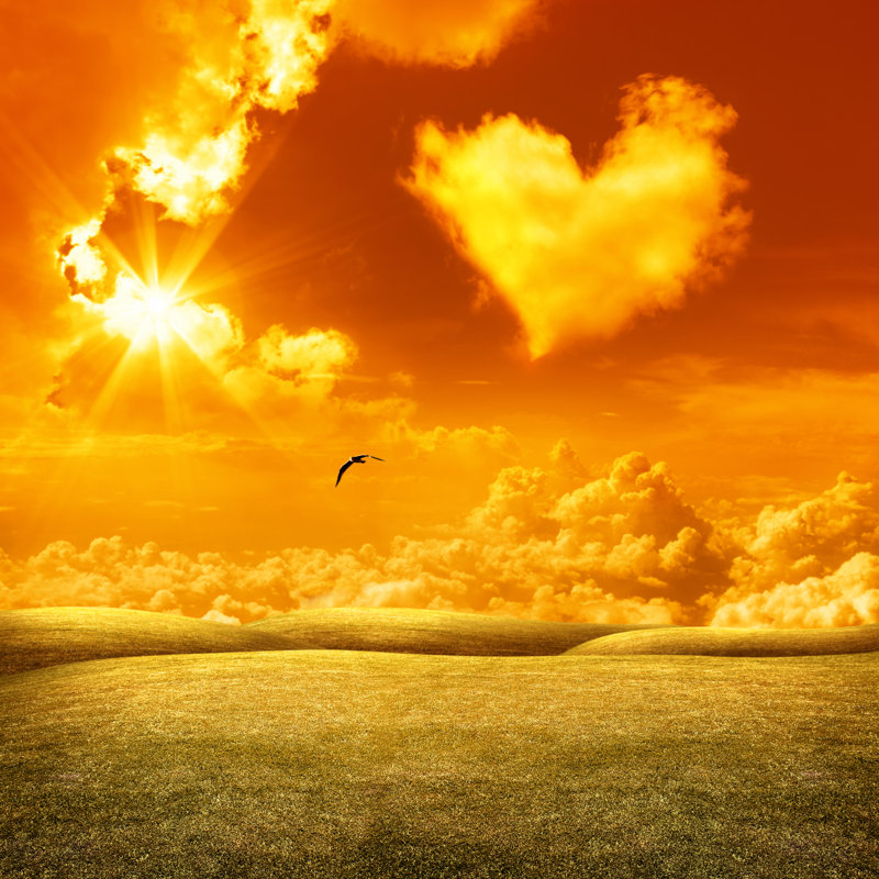 Orange sunset love, 30cm H x 30cm W