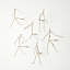 Handmade Brass Wall Decor