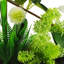 Artificial Arrangement in Planter