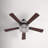 52" Lea 5 - Blade Geometric Cut Crystal Ceiling Fan with Pull Chain