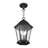 Heaney 3 - Light Outdoor Hanging Lantern