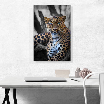 «Blue Eyed Leopard on Log», impression sur toile tendue