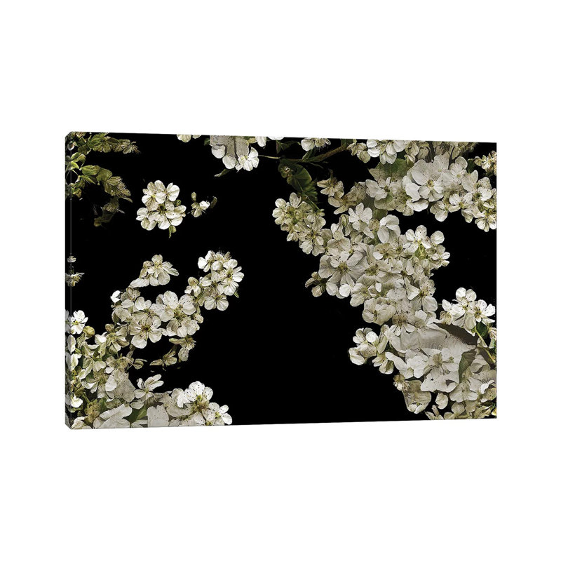 Floral 33 by Heather Offord - Wrapped Canvas Print, 20.32cm H x 30.48cm W x 1.905cm D
