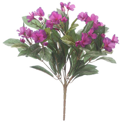 OakRidge Impatiens Bush