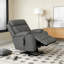 Fauteuil inclinable électrique Power Lift-22131393-22131391