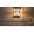 2-pack Motion Sensor and Dusk-to-Dawn Outdoor Wall Lantern 