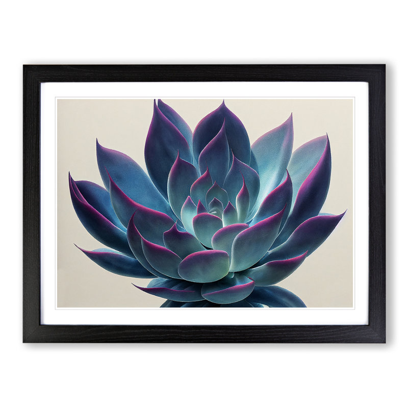 Watercolour Succulent Plant Vol.3 - Single Picture Frame Print, Black, 34cm H x 46cm W