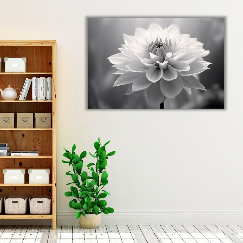 Douceur en monochrome, impression d'art mural, Papier non encadré, H 12 po x l 18 po x P 0,02 po