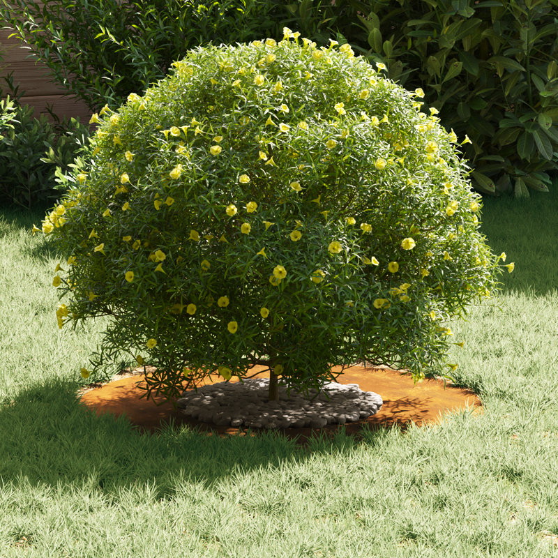 Tree Ring Decorative Garden Modern Protector Outdoor Ornament Base Home, 60cmW x 60cmD