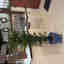 Customer photo 2 of 3
