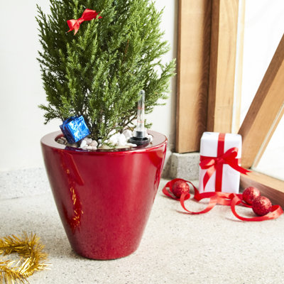 2 pots de fleurs coniques rouges à arrosage automatique - Idéal pour l'intérieur. Un cadeau parfait pour un anniversaire, la fête des pères ou la fête des mères. Un pot intelligent qui ravira les amateurs de plantes.