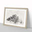 Edinburgh Castle In Scotland - Framed Print-56874323-56874326