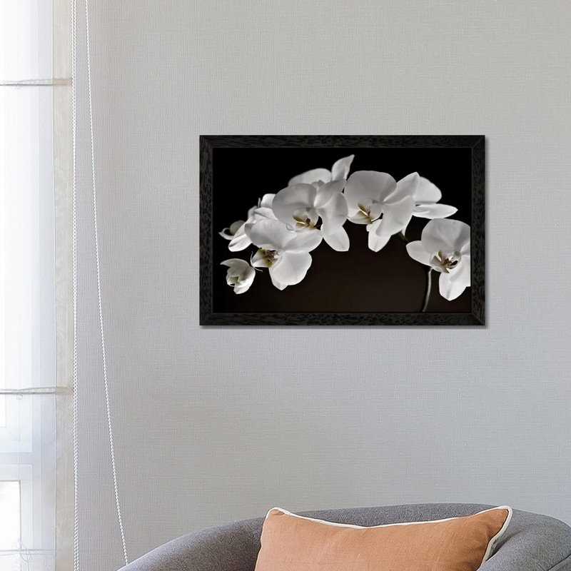 Orchids - Floater Frame Print on Canvas, Black, 101.6 cm H x 66.04 cm W