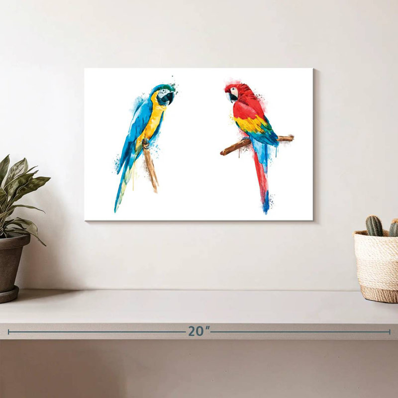 Macaw Duo Color Splash, H 8 po x l 12 po