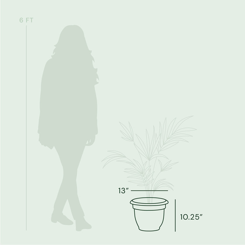Pot à fleurs intérieur / extérieur Traditional, H 10,25 po x l 13 po x P 13 po, Galet, beige