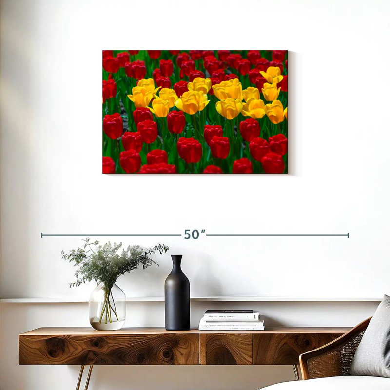 Tulipes Harnek Wisconsin Spring, H 20 po x l 30 po
