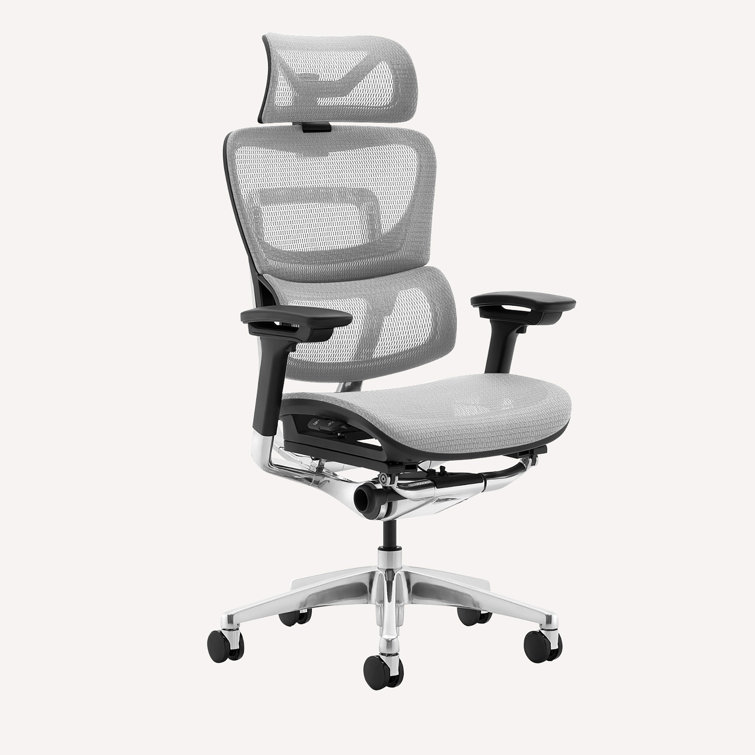https://assets.wfcdn.com/im/86008038/resize-h755-w755%5Ecompr-r85/2366/236651729/Ergonomic+Office+Chair+with+Headrest+High+Back+Business+Mesh+Task+Chair.jpg