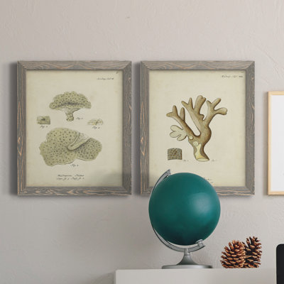 " Ecru Coral I " 2 - Pieces
