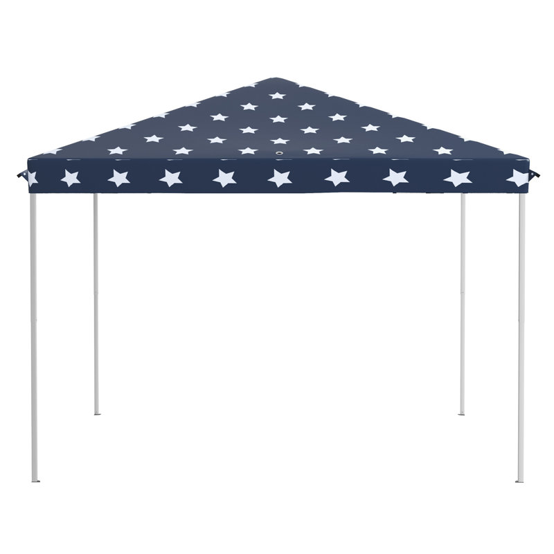 Pop Up Canopy Tent with Netting