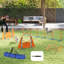 69cm H Dog Agility
